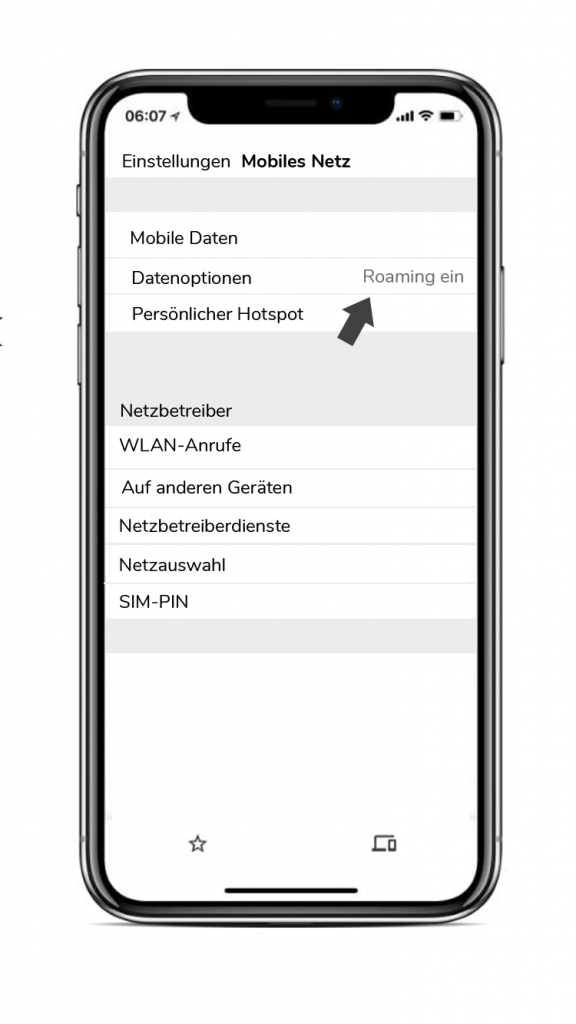 Die Einstellungen auf dem Smartphone: Roaming ein